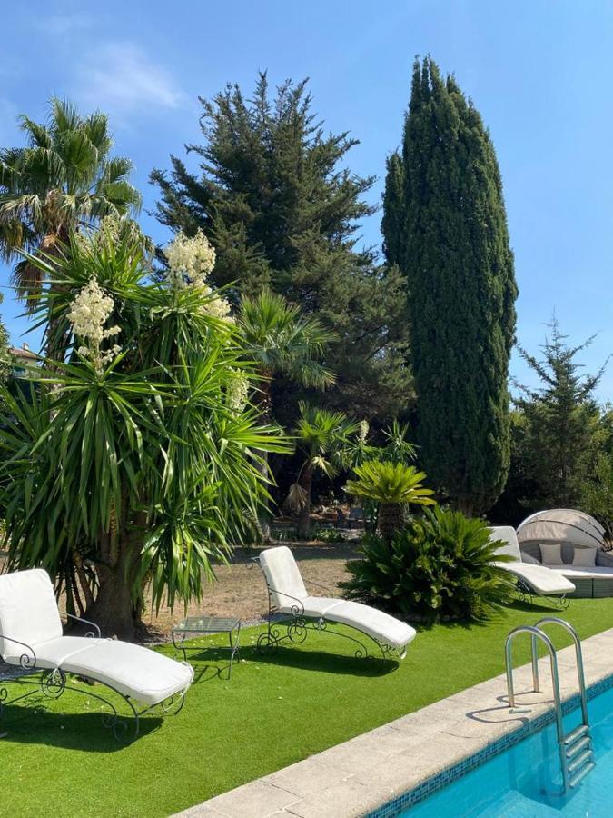 Carpe Diem Paradise موجا المظهر الخارجي الصورة
